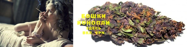 соль ск Няндома