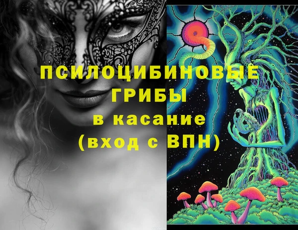 соль ск Няндома