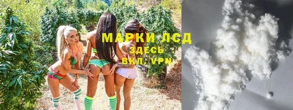 соль ск Няндома