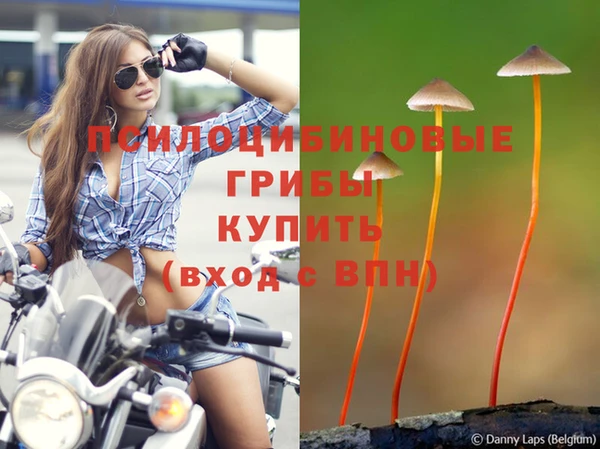 трава Нязепетровск
