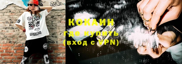 соль ск Няндома