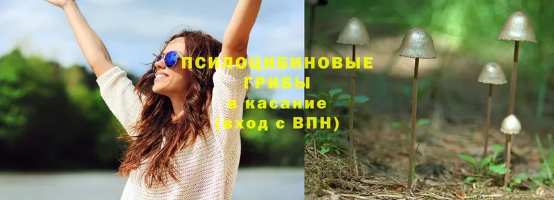 Галлюциногенные грибы Magic Shrooms  цена   Белая Холуница 