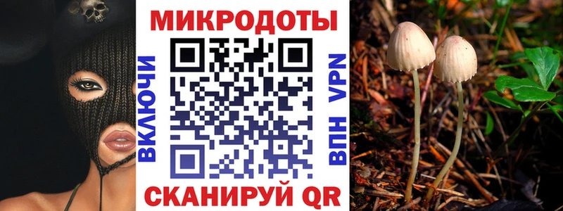 Галлюциногенные грибы Magic Shrooms  что такое наркотик  Белая Холуница 