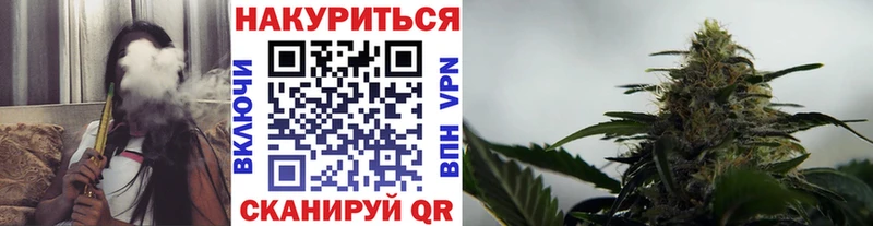Шишки марихуана ГИДРОПОН Белая Холуница
